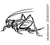 Vector illustration grasshopper graphic design,art tattoo sketch,use in print,hand drawing