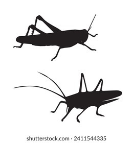 Vector Illustration of Grasshopper Silhouette