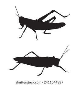 Vector Illustration of Grasshopper Silhouette