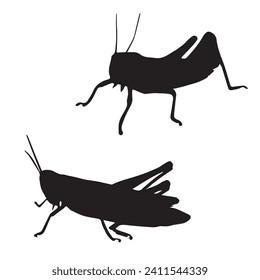 Vector Illustration of Grasshopper Silhouette