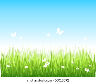 Vector illustration grassy green field and blue sky.