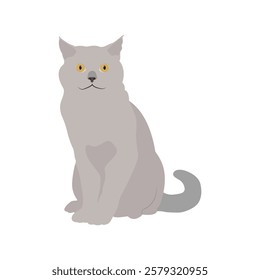 Vector illustration of gray cat. Cute pet isolated white background. Kitty and kitten picture It can be used as greeting card, poster, invitation for birthday, Valentine Day