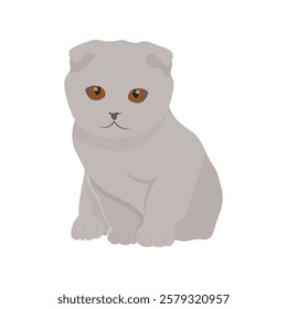 Vector illustration of gray cat. Cute pet isolated white background. Kitty and kitten picture It can be used as greeting card, poster, invitation for birthday, Valentine Day