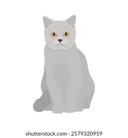 Vector illustration of gray cat. Cute pet isolated white background. Kitty and kitten picture It can be used as greeting card, poster, invitation for birthday, Valentine Day