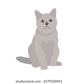 Vector illustration of gray cat. Cute pet isolated white background. Kitty and kitten picture It can be used as greeting card, poster, invitation for birthday, Valentine Day