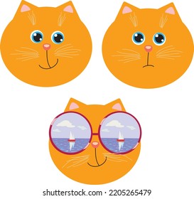 Vector illustration of a gray cat. Funny cat in sunglasses