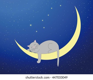 Vector illustration. Gray cat sleeping on the moon surrounded by stars.