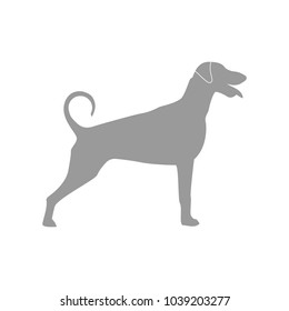 vector illustration: gray dog silhouette on the white background