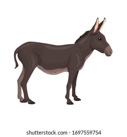 26,084 Donkey illustration Images, Stock Photos & Vectors | Shutterstock