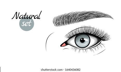 Vector illustration of gray female eye with extended eyelashes and eyebrow. Natural set. Flat style with hand drawn lashes and brow.