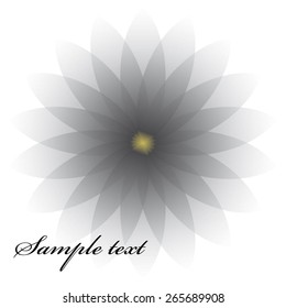 Vector illustration of Gray flower on a white background