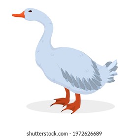 vector illustration of a gray goose isolated on a white background