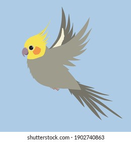 
A vector illustration of a gray male cockatiel in flight