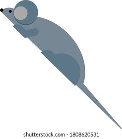 Vector illustration of a gray mouse in cartoon style. Concept of nature, rodents, zodiac, animals. Can be used for fabric, textiles, paper, Wallpaper, books.