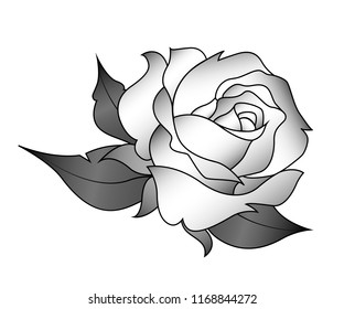 vector illustration - gray rose on the white background