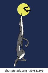 Vector illustration. Gray wolf howling at the moon.