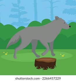 Vector illustration of a gray wolf on a stump in the forest.