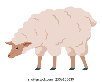 Ilustración vectorial de una oveja pastando con una gruesa capa de lana, agachándose para comer. El diseño simple y estilizado está aislado sobre un fondo blanco, lo que lo hace ideal para temas agrícolas o agrícolas.