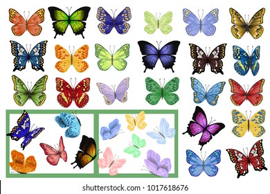 Vector illustration. Great collection of colorful butterflies of different species . Butterfly flying and sitting. A lot of different patterns on the wings.  Set summer, spring.