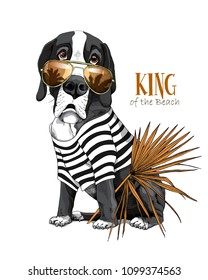 Vector illustration with Great Dane Dog in a striped cardigan, in a sunglasses and with a fan palm leaf. King of a beach - lettering quote. Inspiration poster, hand drawn style t-shirt print.