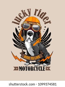 Vector illustration with Great Dane Dog in a biker glasses and orange helmet on a beige background. Lucky rider - lettering quote. Inspiration poster, emblem design, hand drawn style t-shirt print.