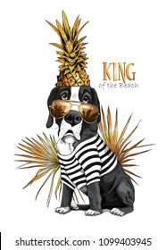 Vector illustration with Great Dane Dog in a striped cardigan, in a sunglasses, with a pineapple crown and fan palm leaf. King of a beach - lettering quote. Poster, hand drawn style t-shirt print.