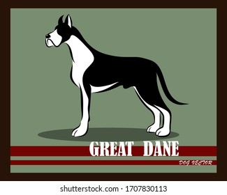 Vector illustration of Great Dane dog. It is standing