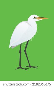 

Ilustración vectorial de un gran garganta. El pájaro está parado y en una posición relajada. Su cuello está doblado. Fondo verde.
