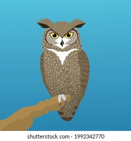 
A vector illustration of a great horned owl or a tiger owl. he is perched on a branch with one paw. The background is a blue gradient.