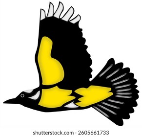 A vector illustration of a Great Kiskadee bird in flight.
