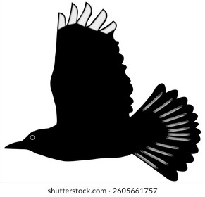 A vector illustration of a Great Kiskadee bird in flight.