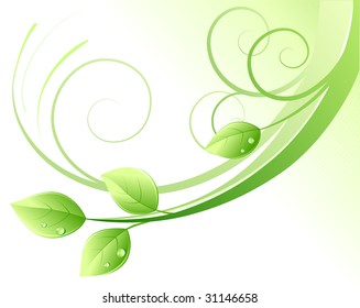 Vector illustration of green abstract background and leaves with water drops