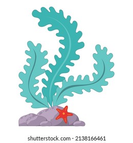 vector illustration of green algae on a rock, with a starfish.