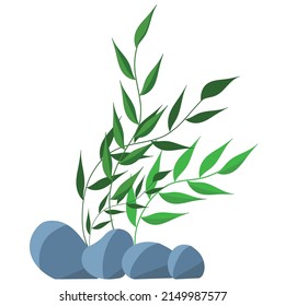 vector illustration of green algae with sharp leaves on a white background. 