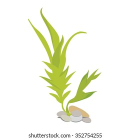 Vector illustration green algae with stones for aquarium. Marine alga. Seaweed symbol. Cartoon underwater plants