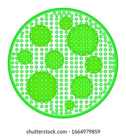 Vector illustration of green algae (Volvox sp.)