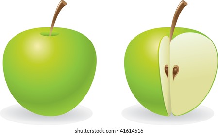 vector illustration of green apple