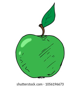 Vector illustration of a green apple. Hand drawn apple.