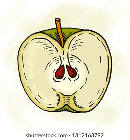 Vector Illustration of Green Apple Sketch Style