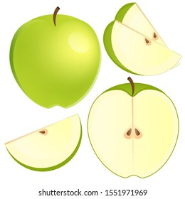 Vector illustration of green apple. Sliced apple isolated on white background. Whole green apple and cut in half.