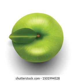 Vector illustration of green apple top view