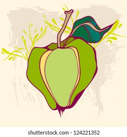 Vector illustration with green apple and vintage background.