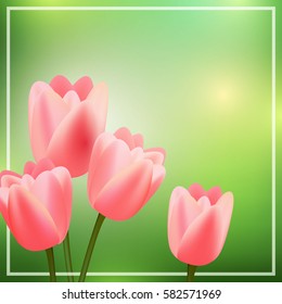 Vector Illustration of a Green Background with Pink Tulips