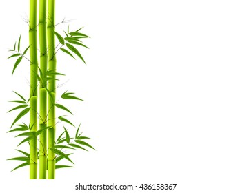 57,854 Green Bamboo Wallpaper Images, Stock Photos & Vectors 