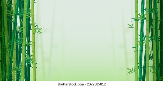 Vector illustration of green bamboo forest with blurred background and copy space for your text. The natural backgrounds