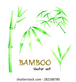 Vector illustration of green bamboo leaves