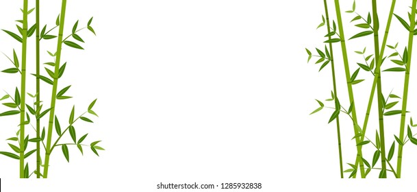 Vector illustration of green bamboo template background 
