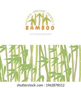 Vector illustration of green bamboo template background