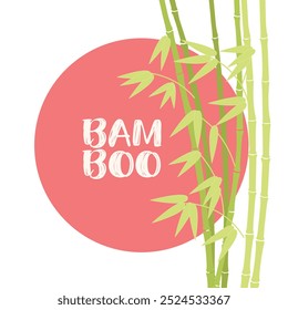 Vector illustration of green bamboo template background