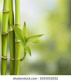 Vector illustration of Green bamboo trees background inside the forest